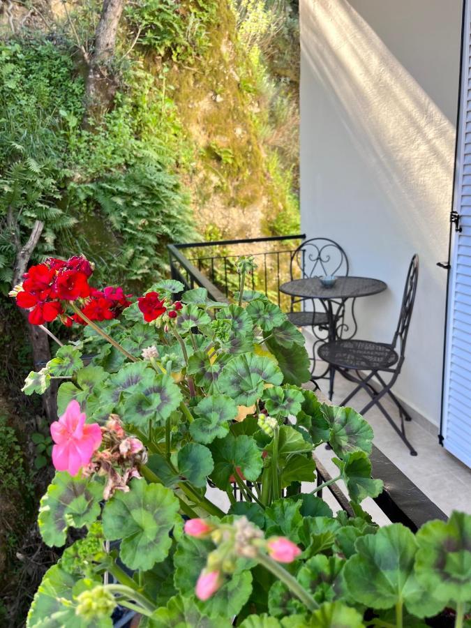 Helena'S Apartment In Corfu Town Екстер'єр фото